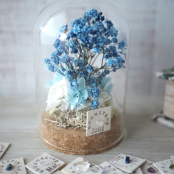 誕生月の天然石  Flower dome -青いかすみ草- 1枚目の画像