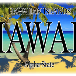 【壁掛け Lサイズ】アロハ ハワイ フラダンス ハイビスカス ヤシの木 ビーチ 海 照明 看板 置物 雑貨 ライトBOX 6枚目の画像