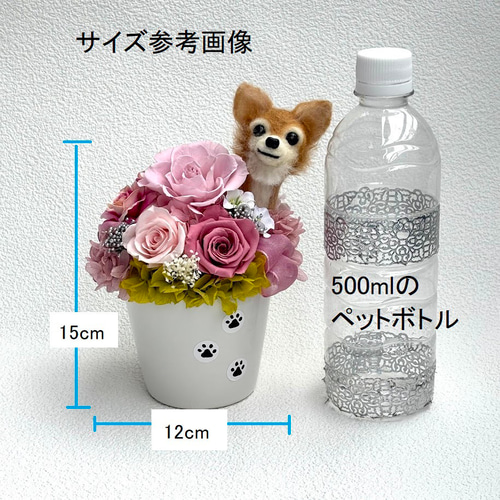 ちょこんと顔出す ラブラドールレトリバー（右側）＆ プリザーブド