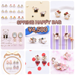 SPRING HAPPY BAG ¥4,500 1枚目の画像