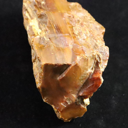 北海道幌加内町 ペトリファイドウッド 珪化木 110mm原石 321g #29885