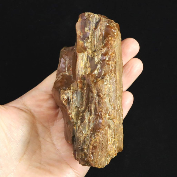 北海道幌加内町　ペトリファイドウッド 珪化木  110mm原石 321g  #29885        Ω 人気・おすすめ｜安定人気・収納便利におすすめ 期間限定割引 配送追跡可 国内発送・短納期対応