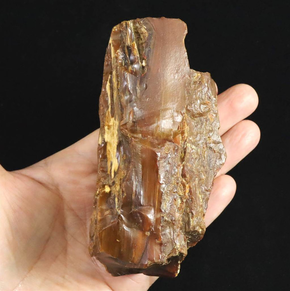 北海道幌加内町　ペトリファイドウッド 珪化木  110mm原石 321g  #29885        Ω 人気・おすすめ｜安定人気・収納便利におすすめ 期間限定割引 配送追跡可 国内発送・短納期対応