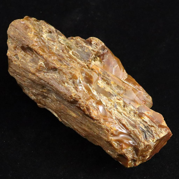 北海道幌加内町　ペトリファイドウッド 珪化木  110mm原石 321g  #29885        Ω 人気・おすすめ｜安定人気・収納便利におすすめ 期間限定割引 配送追跡可 国内発送・短納期対応