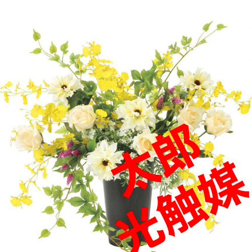 光触媒 人工観葉植物 ウォールグリーン フェイクグリーン ツイン