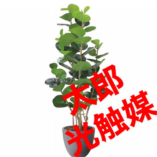 お歳暮 人気 光触媒 人工観葉植物 フェイクグリーン ナチュラルシーグレープ 置物