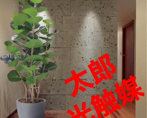 光触媒　人工観葉植物　フェイクグリーン　ナチュラルシーグレープ1.6 光触媒 人工観葉植物 フェイクグリーン ナチュラルシーグレープ1.6