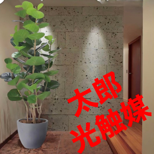 光触媒人工観葉植物フェイクグリーンナチュラルシーグレープ1.6