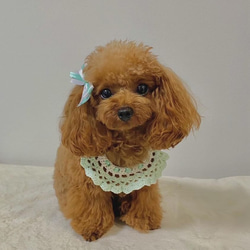 01795a78939fbb33dda6d93ad94720