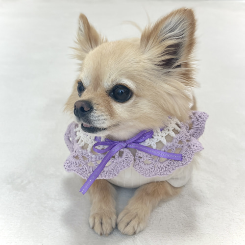 958.わんこビブ つけ襟 スタイ ハンドメイド 犬服