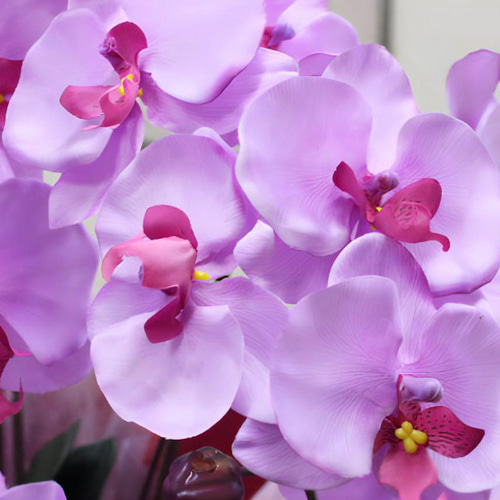 光触媒 人工観葉植物 ウォールグリーン フェイクグリーン 胡蝶蘭