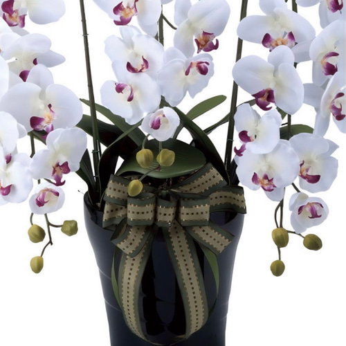 光触媒　人工観葉植物　ウォールグリーン　フェイクグリーン　ロイヤル胡蝶蘭W/AB 光触媒 人工観葉植物 ウォールグリーン フェイクグリーン ロイヤル胡蝶