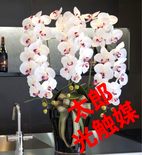 光触媒　人工観葉植物　ウォールグリーン　フェイクグリーン　ロイヤル胡蝶蘭W/AB 光触媒 人工観葉植物 ウォールグリーン フェイクグリーン ロイヤル胡蝶