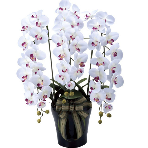 光触媒 人工観葉植物 ウォールグリーン フェイクグリーン ロイヤル胡蝶