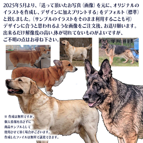 アートパネル バーニーズマウンテンドッグ 33cmx24cm オリジナル 犬