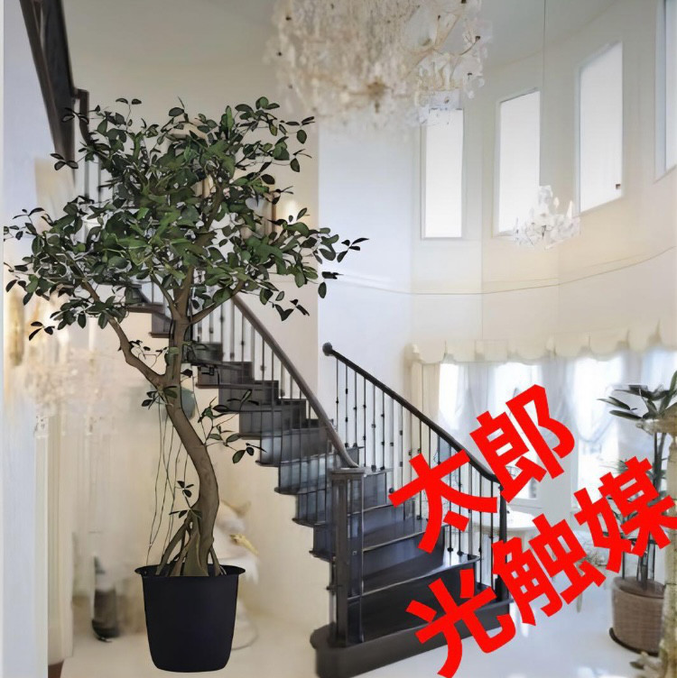 光触媒　人工観葉植物　ウォールグリーン　フェイクグリーン　ガジュマルアゴッド