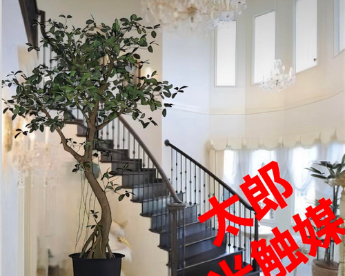 eeca641c09102da9988853065840cb