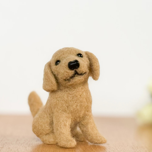 羊毛フェルト ゴールデンレトリバー 羊毛フェルト すぱいらる工房 通販