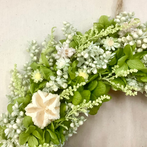 リース 爽やかなグリーンリース 新築・開店お祝い リース karen640