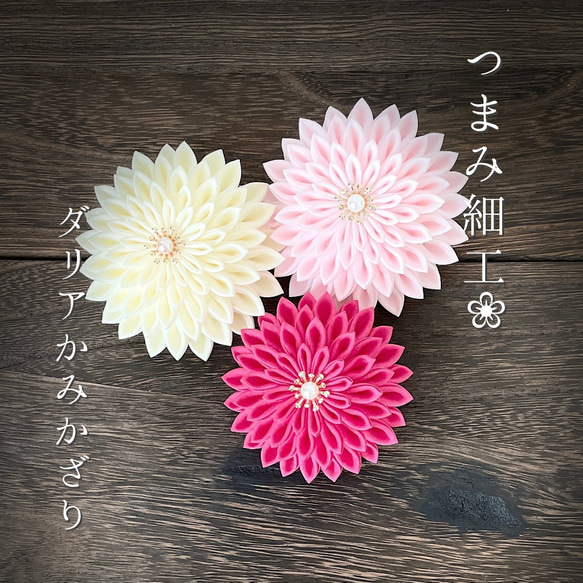 つまみ細工》ボリューム大、半くすダリア3点セット フューシャピンク