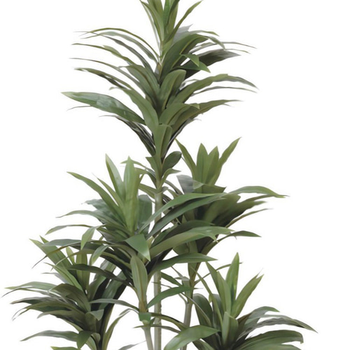 光触媒 人工観葉植物 フェイクグリーン ドラセナコンパクタ1.25 その他