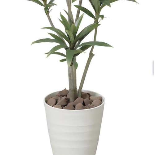 光触媒　人工観葉植物　フェイクグリーン　ドラセナコンパクタ1.25 光触媒 人工観葉植物 フェイクグリーン ドラセナコンパクタ1.25 その他