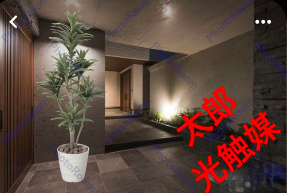 光触媒　人工観葉植物　フェイクグリーン　ドラセナコンパクタ1.25 光触媒 人工観葉植物 フェイクグリーン ドラセナコンパクタ1.25 その他