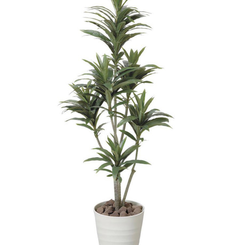 光触媒 人工観葉植物 フェイクグリーン ドラセナコンパクタ1.25 その他