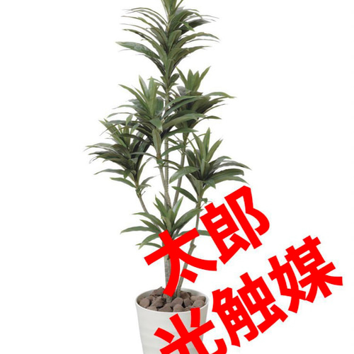 光触媒　人工観葉植物　フェイクグリーン　ドラセナコンパクタ1.25 光触媒 人工観葉植物 フェイクグリーン ドラセナコンパクタ1.25 その他