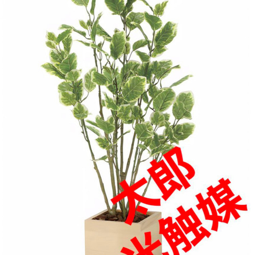 光触媒 人工観葉植物 ウォールグリーン ウッドボックス