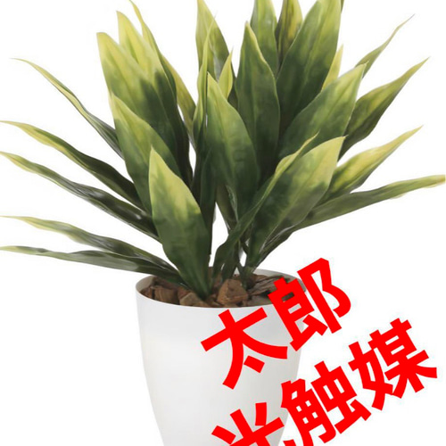 光触媒 人工観葉植物 ウォールグリーン フェイクグリーン 屋外