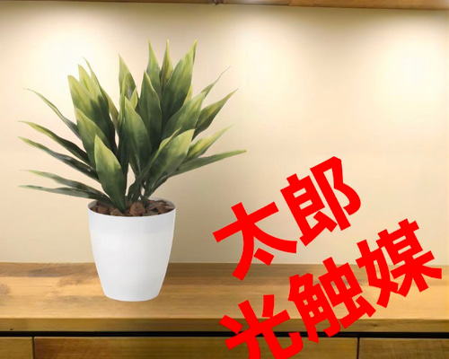 光触媒 人工観葉植物 ウォールグリーン フェイクグリーン 屋外対応