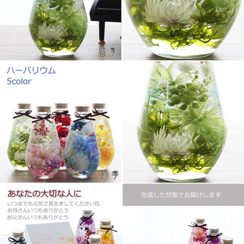 ○母の日 ハーバリウム 丸瓶 花 プリザーブドフラワー&アーティ