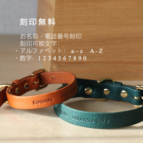 3wanlv様専用】3本セット✨世界にひとつ✨名入れ✨本革✨小型犬