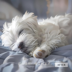 【世界に一つだけの愛犬アート♡】（高画質デジタルデータプレゼント中）オーダーメイド　ペットメモリアル　うちの子 15枚目の画像