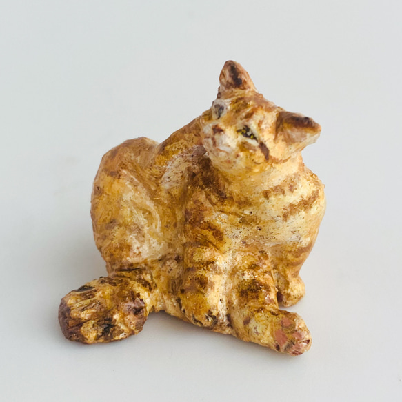 お手入れ茶トラ猫　（chatora cat） 1枚目の画像