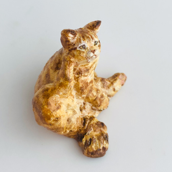 お手入れ茶トラ猫　（chatora cat） 4枚目の画像