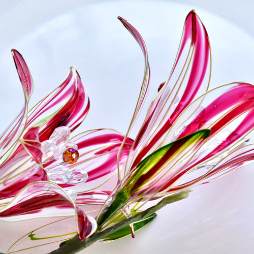 植物標本 XXL】ユリ 赤 ハーバリウム・植物標本 風碧(kazamidori) 通販