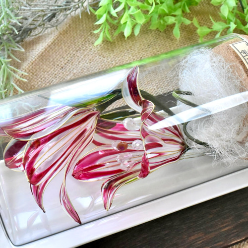 植物標本 XXL】ユリ 赤 ハーバリウム・植物標本 風碧(kazamidori) 通販