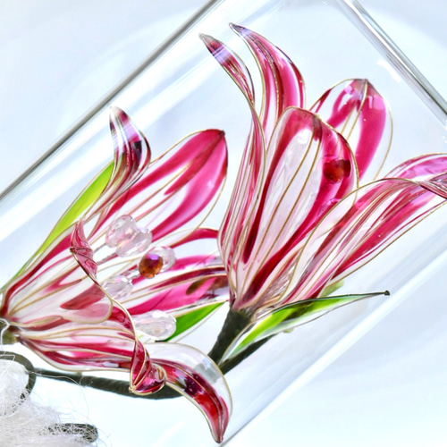 植物標本 XXL】ユリ 赤 ハーバリウム・植物標本 風碧(kazamidori) 通販