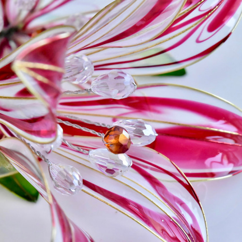 植物標本 XXL】ユリ 赤 ハーバリウム・植物標本 風碧(kazamidori) 通販