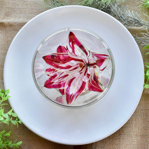 植物標本 XXL】ユリ 赤 ハーバリウム・植物標本 風碧(kazamidori) 通販