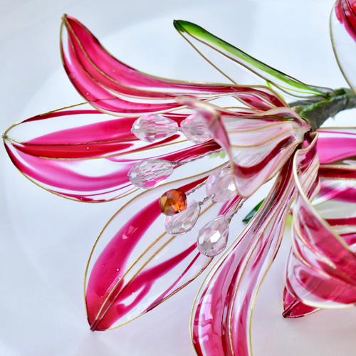 植物標本 XXL】ユリ 赤 ハーバリウム・植物標本 風碧(kazamidori) 通販