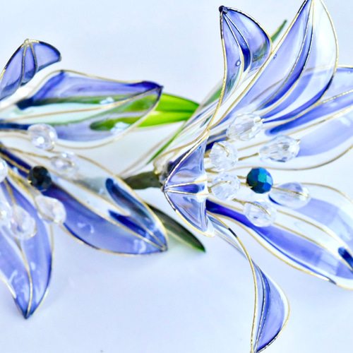 植物標本 XXL】ユリ 青 ハーバリウム・植物標本 風碧(kazamidori) 通販