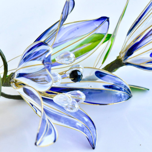 ユリの種子　標本 ユリの種子 標本