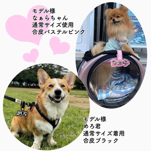 専用ページ★トレポンティ★ユリウスk9★ネームタグ 専用ページ☆ユリウスk9☆トレポンティ☆ネームタグ - メルカリ