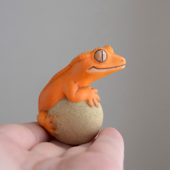 Crested gecko on the stone 第5張的照片