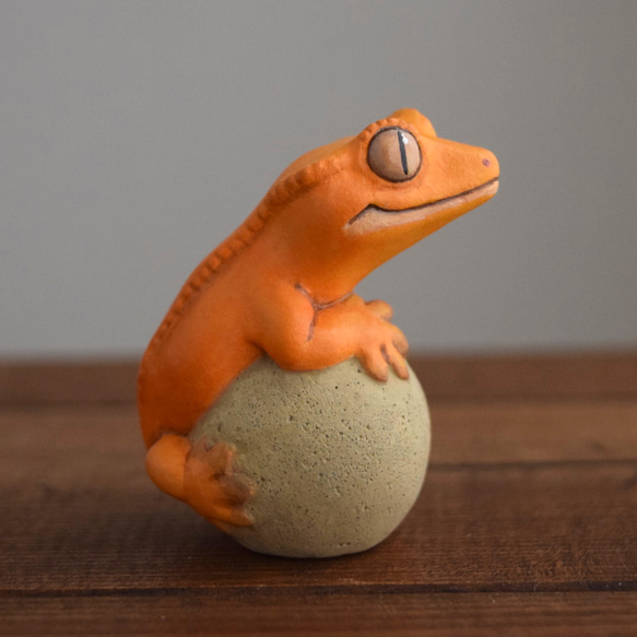 Crested gecko on the stone 第8張的照片