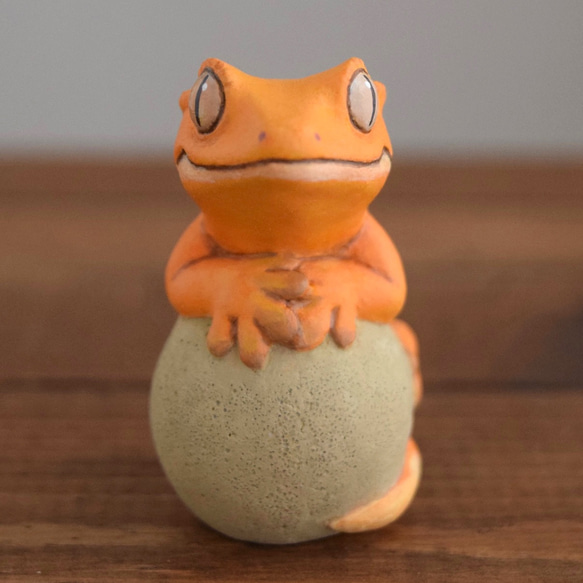 Crested gecko on the stone 第6張的照片