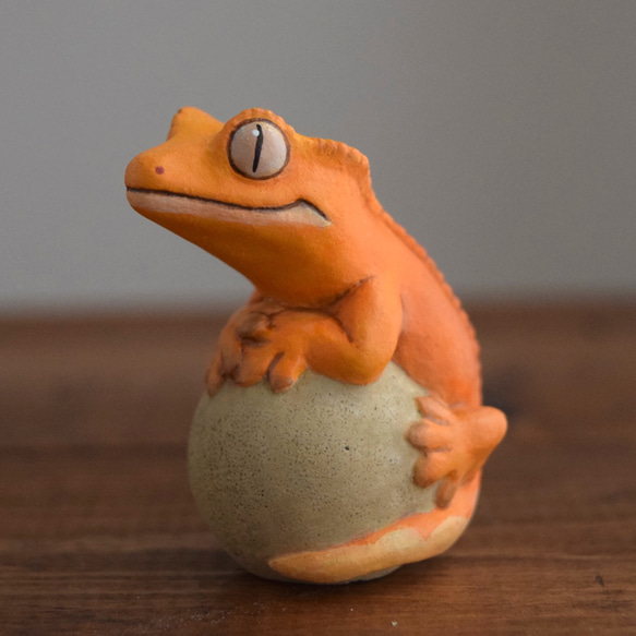 Crested gecko on the stone 第2張的照片